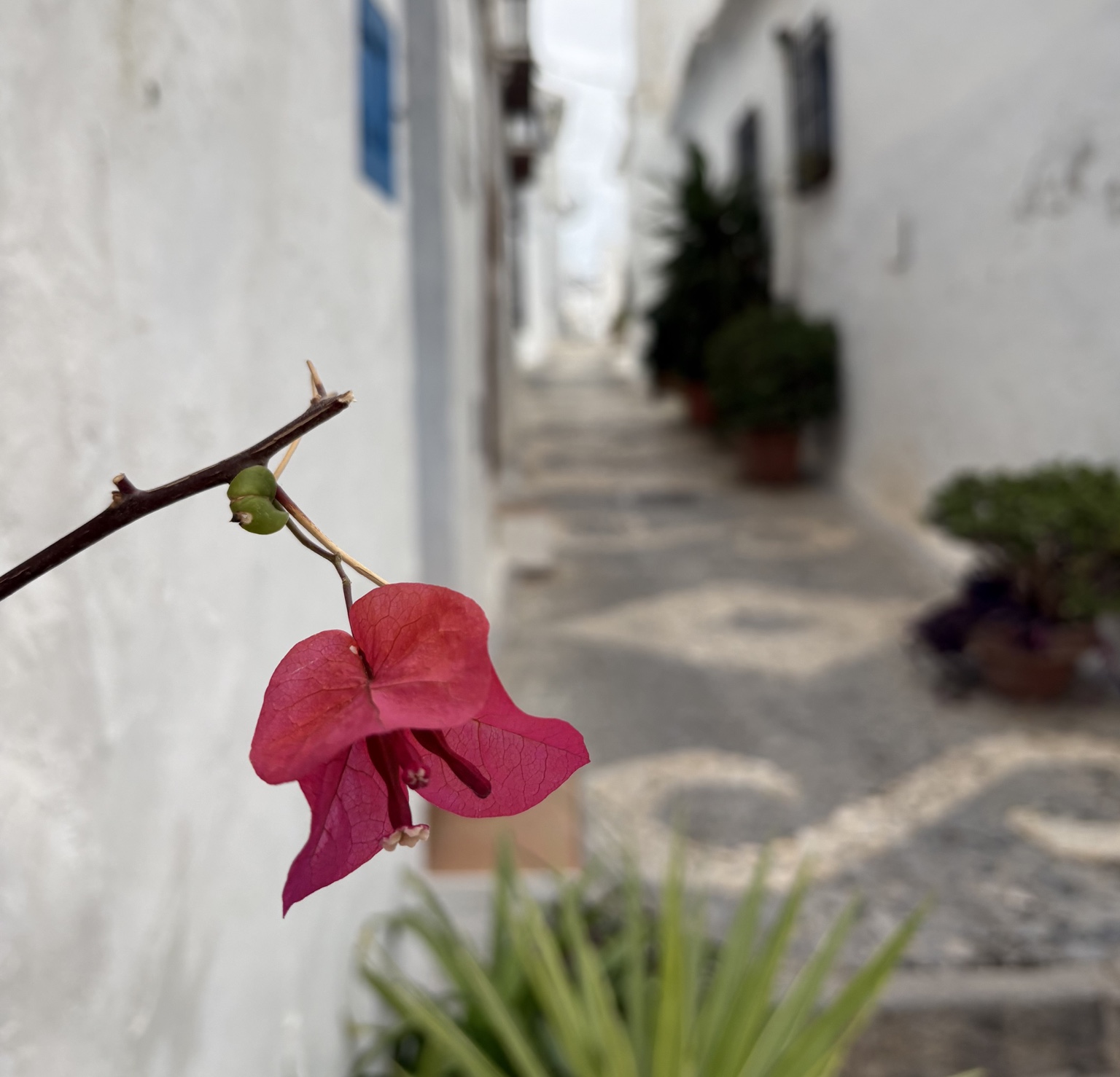 Frigiliana